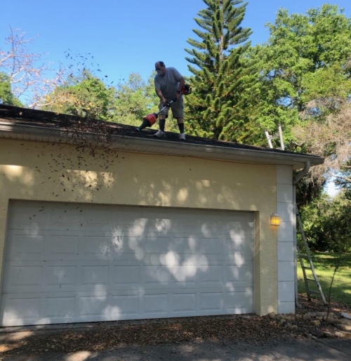 Blasting leaves out of the gutters.