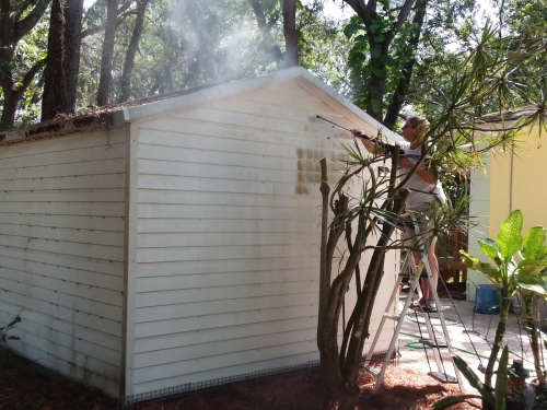 Leslie pressure washing the shed.