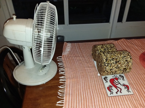 Two home-made seed cylinders drying in front of a fan.