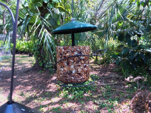 The seed cylinder hanging on the feeder.