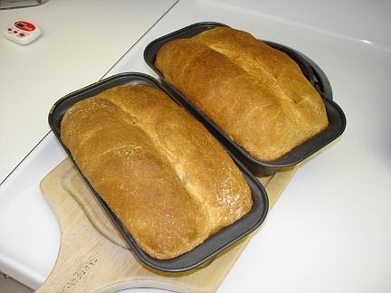 Slicing a loaf of my home-cooked Honey Wheat bread