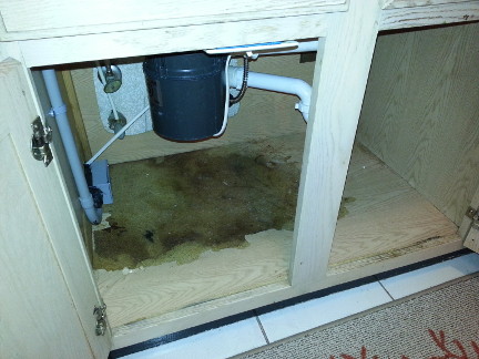 Water damage under the kitchen sink.