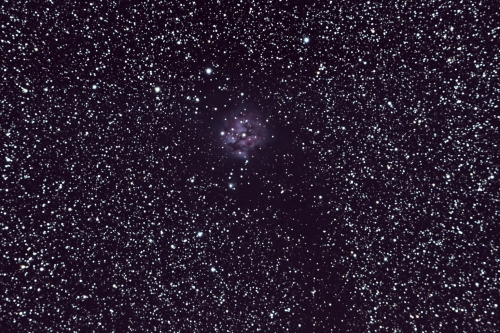 The Cocoon Nebula