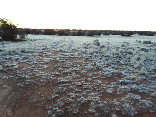 Morning frost all over the ground.