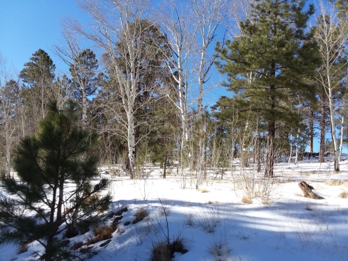 Hiking in the snow.