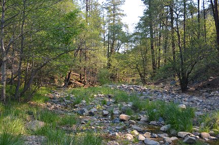 One of my favorite gold panning streams.