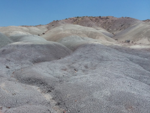 Hunting petrified wood in the Arizona badlands.