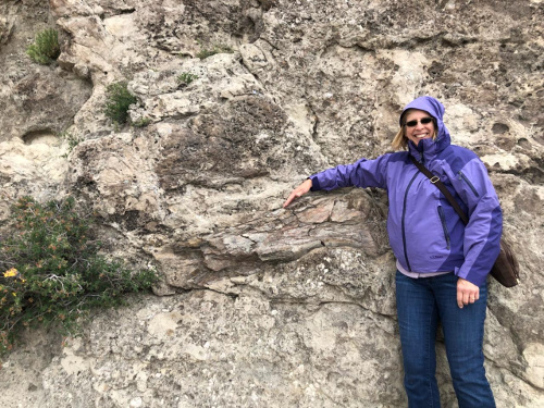 A dinosaur femur eroding out of the hillside.