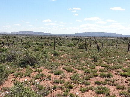 The mountains near my Arizona property.