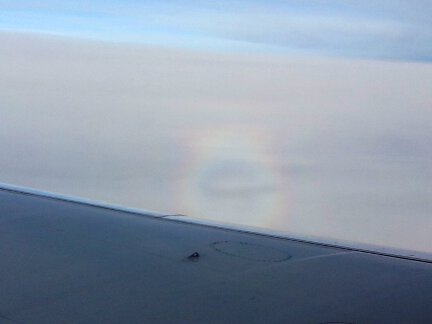 A glory as seen out the window of the plane.