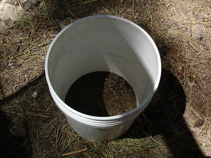 The concentrates remaining after cleaning up the sluice